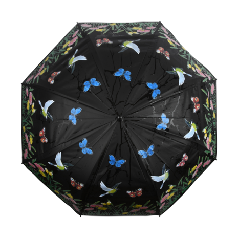Kleur veranderende paraplu vogels en bloemen - Magische plu!