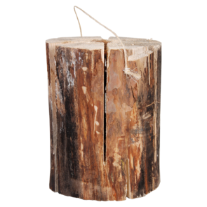 Zweedse fakkel groot